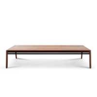 Harvink salontafel Splinter Amerikaans noten met frame zwart